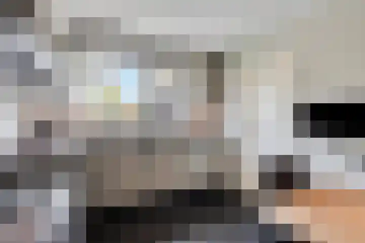 Heer Dickbierweg 22 Mierlo thumbnail 19