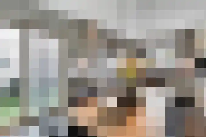 Heer Dickbierweg 22 Mierlo thumbnail 22