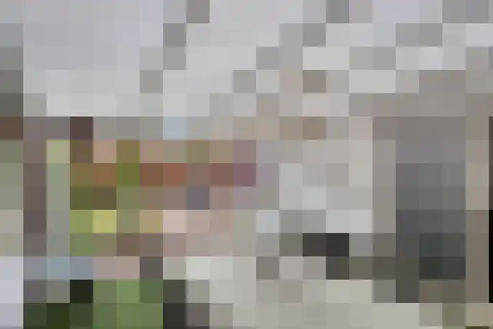 Heer Dickbierweg 22 Mierlo thumbnail 23