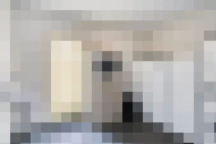 Heer Dickbierweg 22 Mierlo thumbnail 24