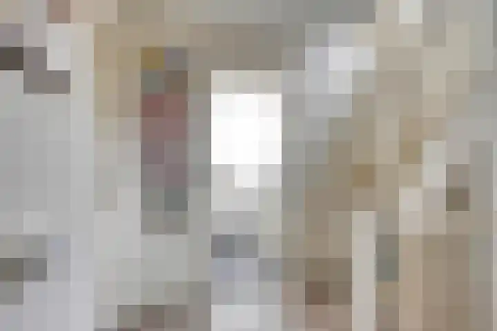 Heer Dickbierweg 22 Mierlo thumbnail 27