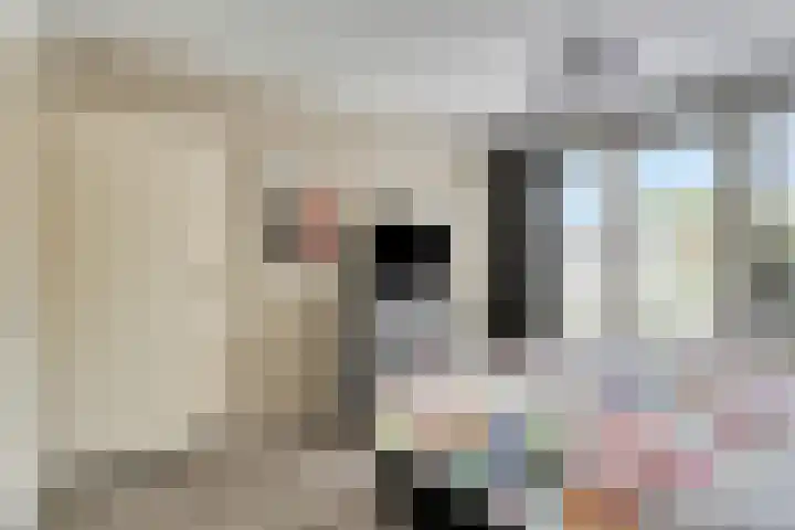 Heer Dickbierweg 22 Mierlo thumbnail 29