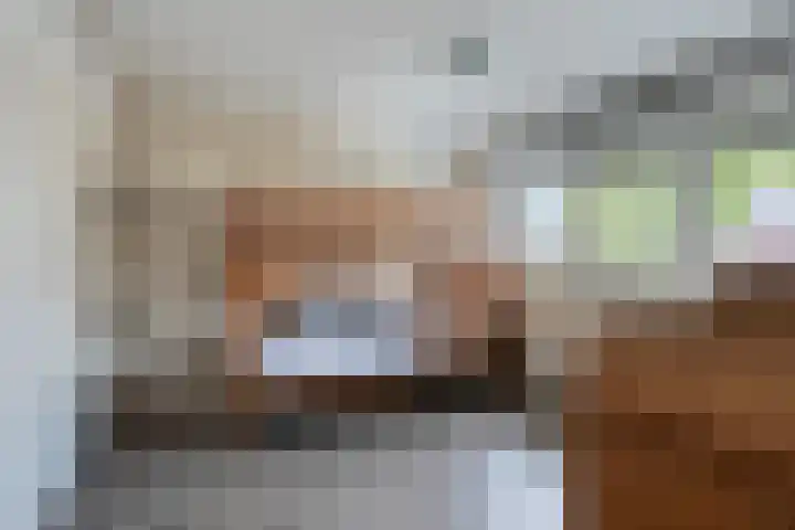 Heer Dickbierweg 22 Mierlo thumbnail 32