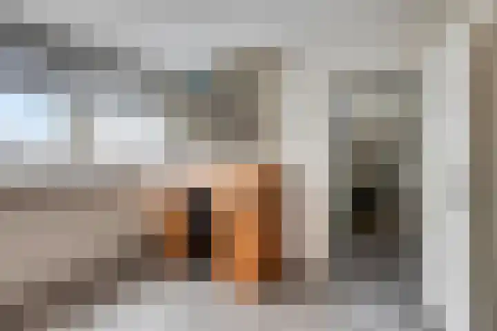 Heer Dickbierweg 22 Mierlo thumbnail 33