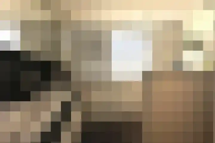 Heer Dickbierweg 22 Mierlo thumbnail 35