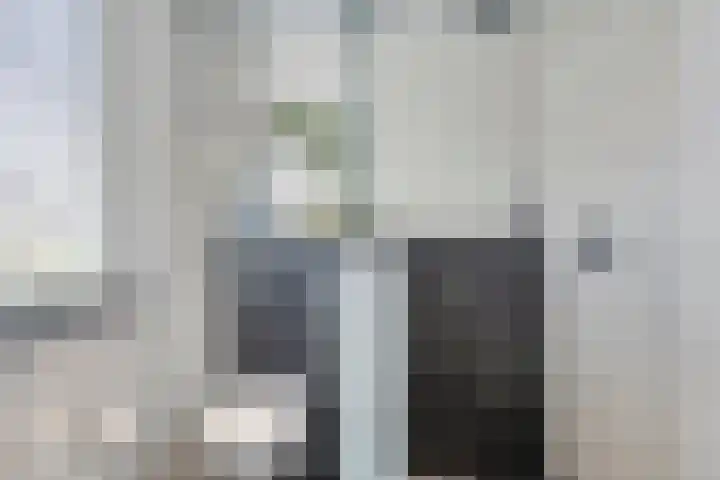 Heer Dickbierweg 22 Mierlo thumbnail 37