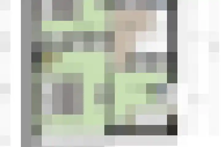 Heer Dickbierweg 22 Mierlo thumbnail 39