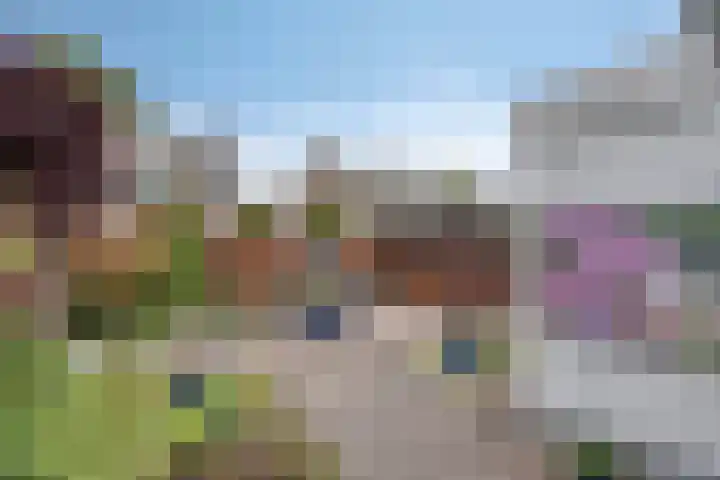 Heer Dickbierweg 22 Mierlo thumbnail 46