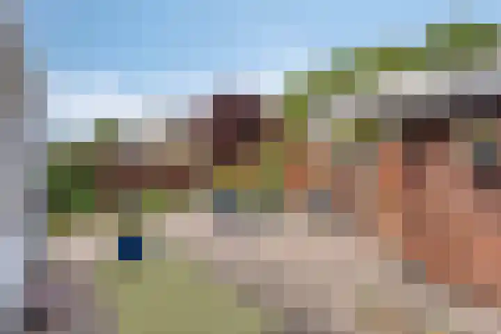 Heer Dickbierweg 22 Mierlo thumbnail 48