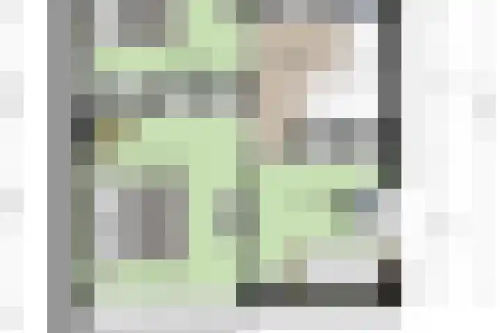 Heer Dickbierweg 22 Mierlo thumbnail 51