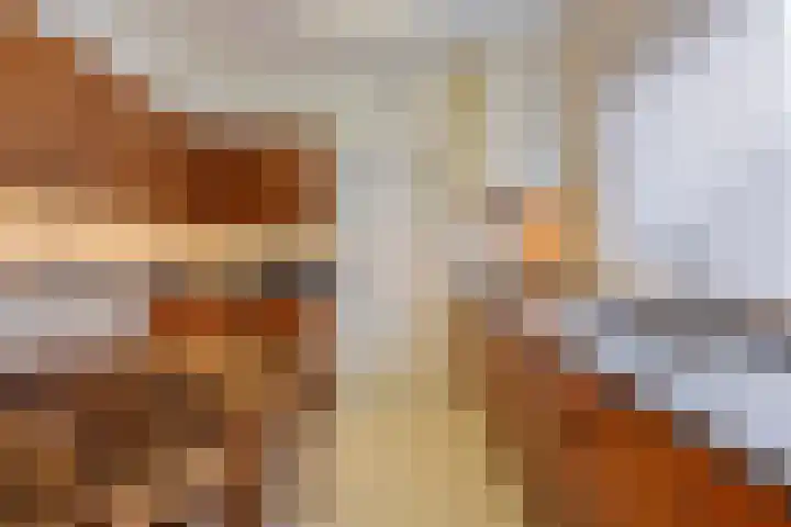 Heer Dickbierweg 4 Mierlo thumbnail 17