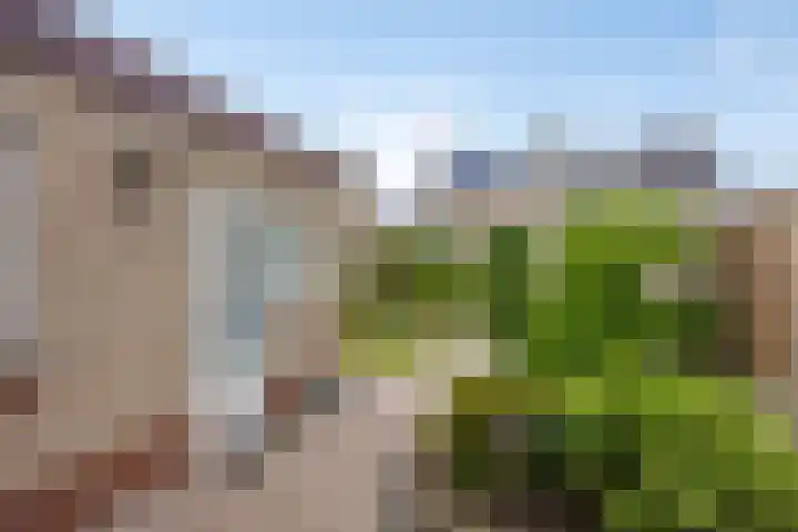 Heer Dickbierweg 4 Mierlo thumbnail 22