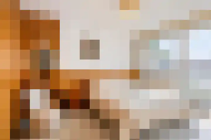 Heer Dickbierweg 4 Mierlo thumbnail 26