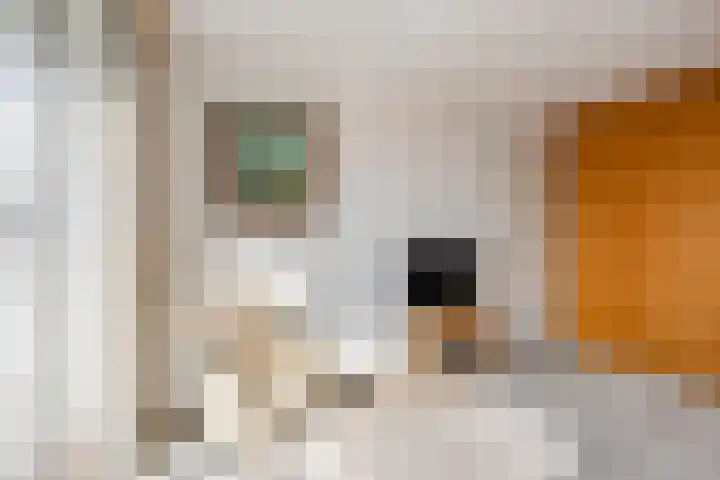 Heer Dickbierweg 4 Mierlo thumbnail 27