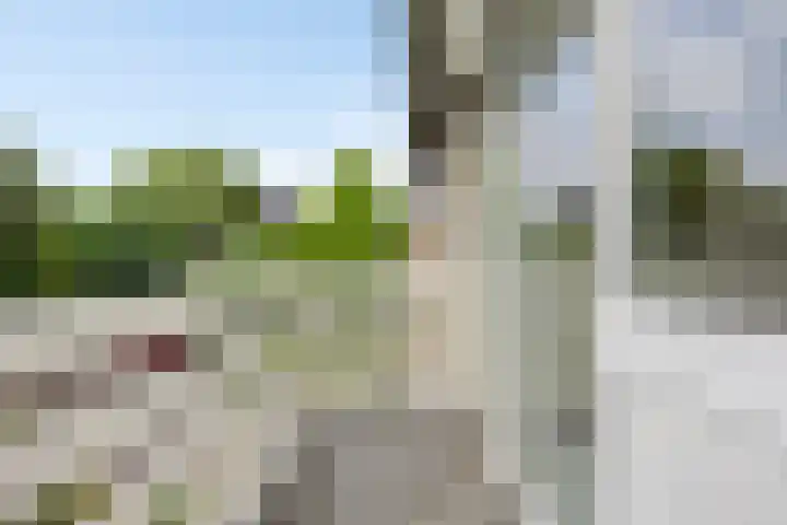 Heer Dickbierweg 4 Mierlo thumbnail 28