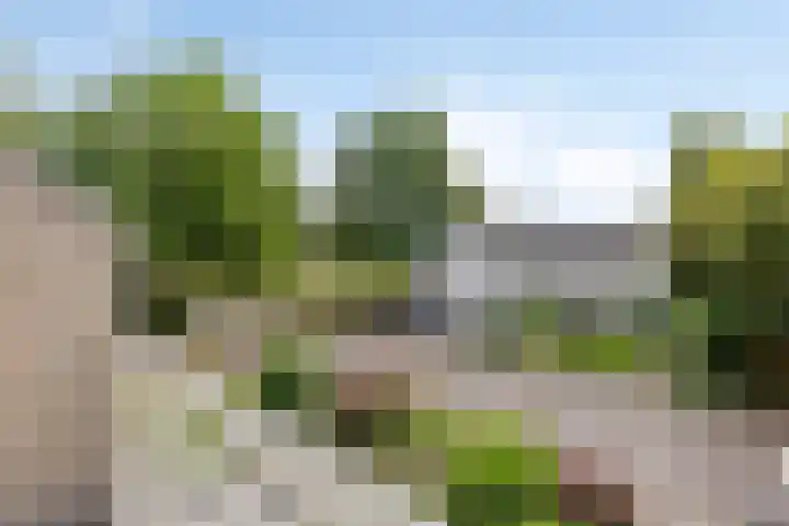 Heer Dickbierweg 4 Mierlo thumbnail 29