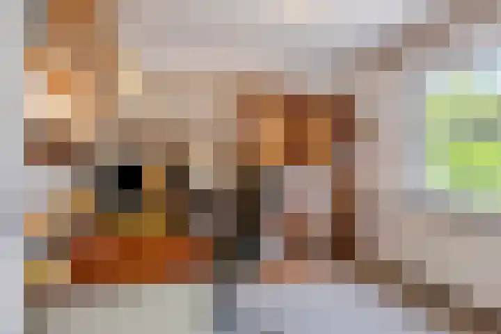 Heer Dickbierweg 4 Mierlo thumbnail 33