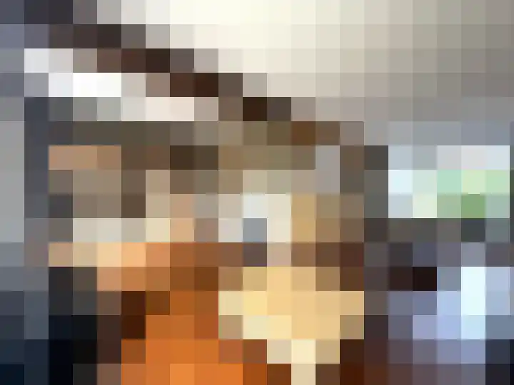 Heer Dickbierweg 4 Mierlo thumbnail 4