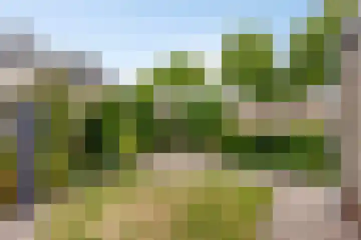 Heer Dickbierweg 4 Mierlo thumbnail 40