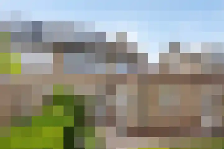 Heer Dickbierweg 4 Mierlo thumbnail 42