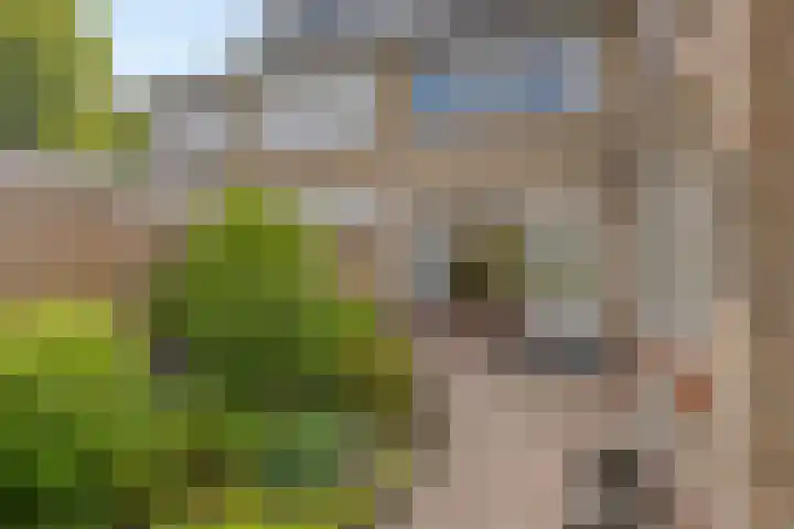 Heer Dickbierweg 4 Mierlo thumbnail 43
