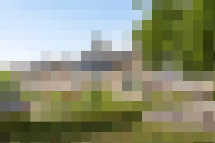 Heer Dickbierweg 4 Mierlo thumbnail 46
