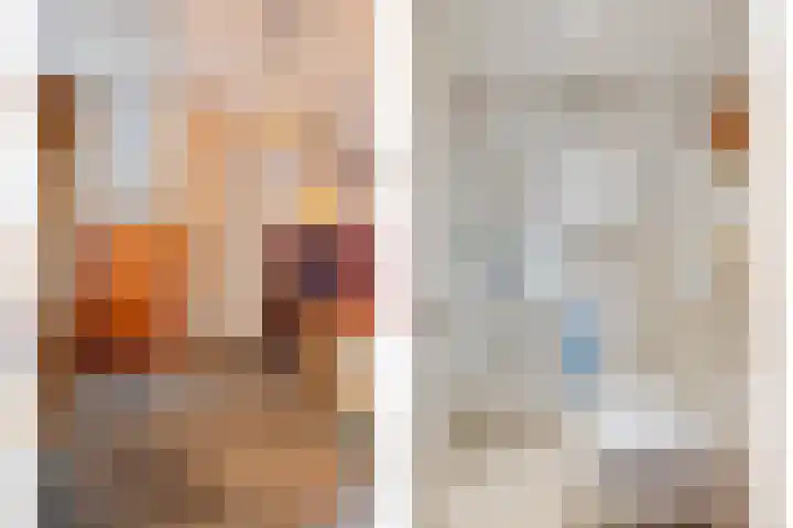 Heer Dickbierweg 4 Mierlo thumbnail 7