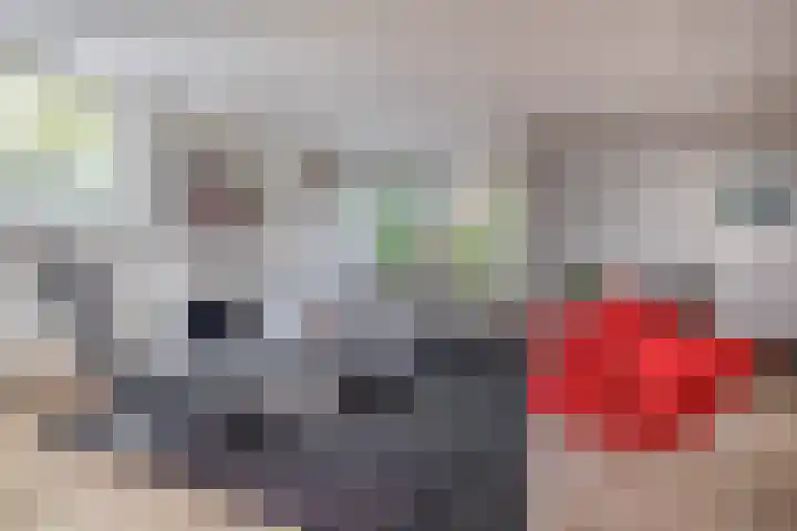 Heer Dickbierweg 57 Mierlo thumbnail 10