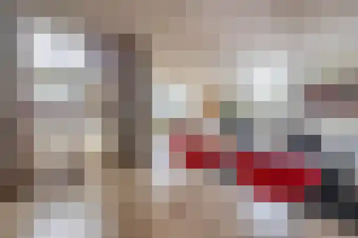 Heer Dickbierweg 57 Mierlo thumbnail 13