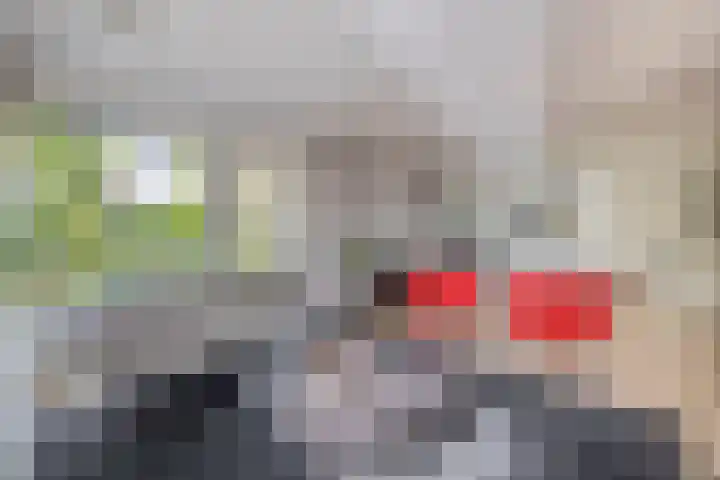 Heer Dickbierweg 57 Mierlo thumbnail 14