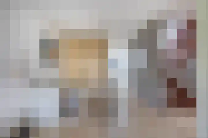 Heer Dickbierweg 57 Mierlo thumbnail 16