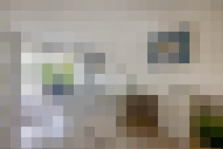 Heer Dickbierweg 57 Mierlo thumbnail 17