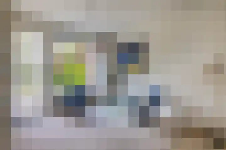 Heer Dickbierweg 57 Mierlo thumbnail 18