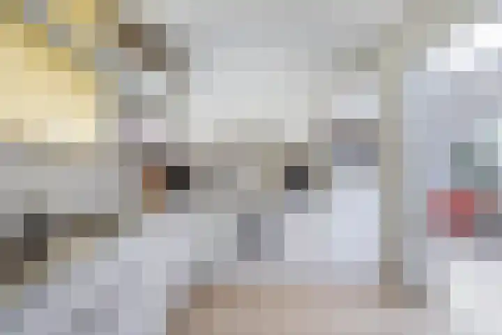 Heer Dickbierweg 57 Mierlo thumbnail 20