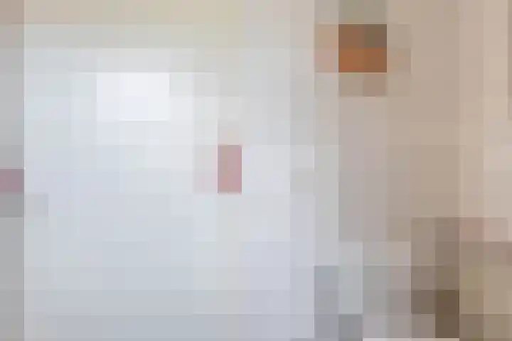 Heer Dickbierweg 57 Mierlo thumbnail 23