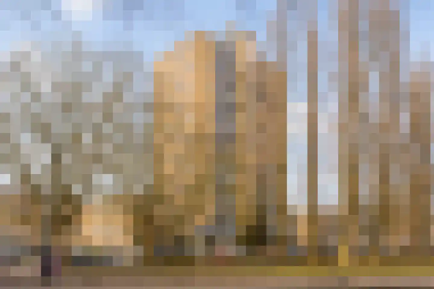 Heer Dickbierweg 57 Mierlo thumbnail 25
