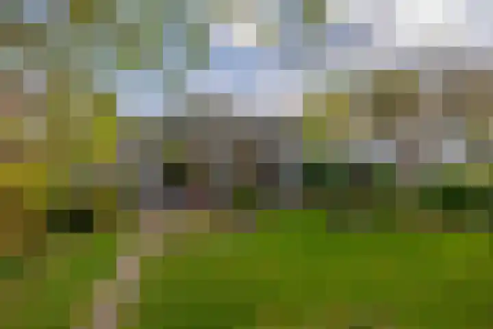 Heer Dickbierweg 57 Mierlo thumbnail 32