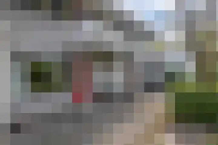 Heer Dickbierweg 57 Mierlo thumbnail 34