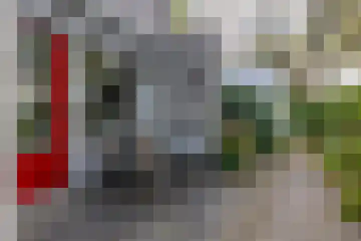 Heer Dickbierweg 57 Mierlo thumbnail 36