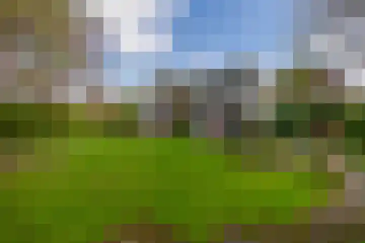 Heer Dickbierweg 57 Mierlo thumbnail 38