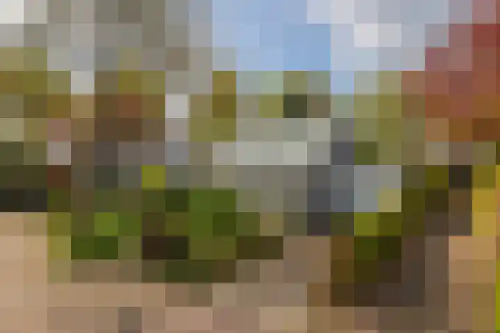 Heer Dickbierweg 57 Mierlo thumbnail 40