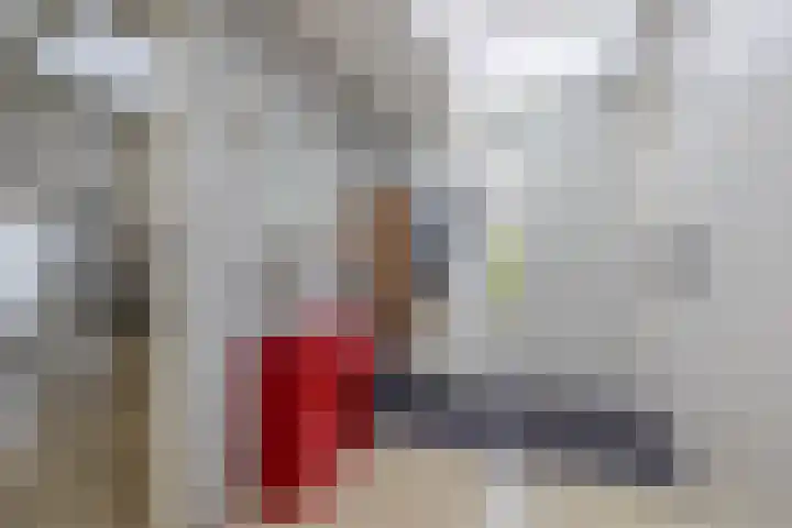 Heer Dickbierweg 57 Mierlo thumbnail 6