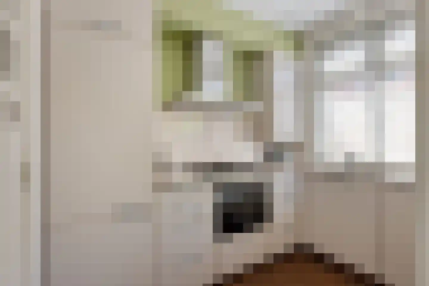 Heer Elbertsteeg 7 Weesp thumbnail 18
