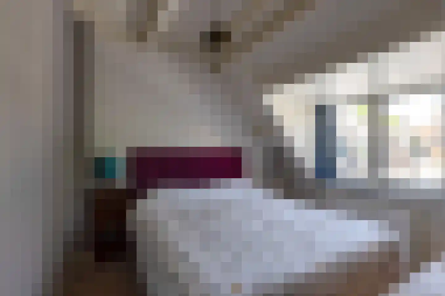 Heer Elbertsteeg 7 Weesp thumbnail 28