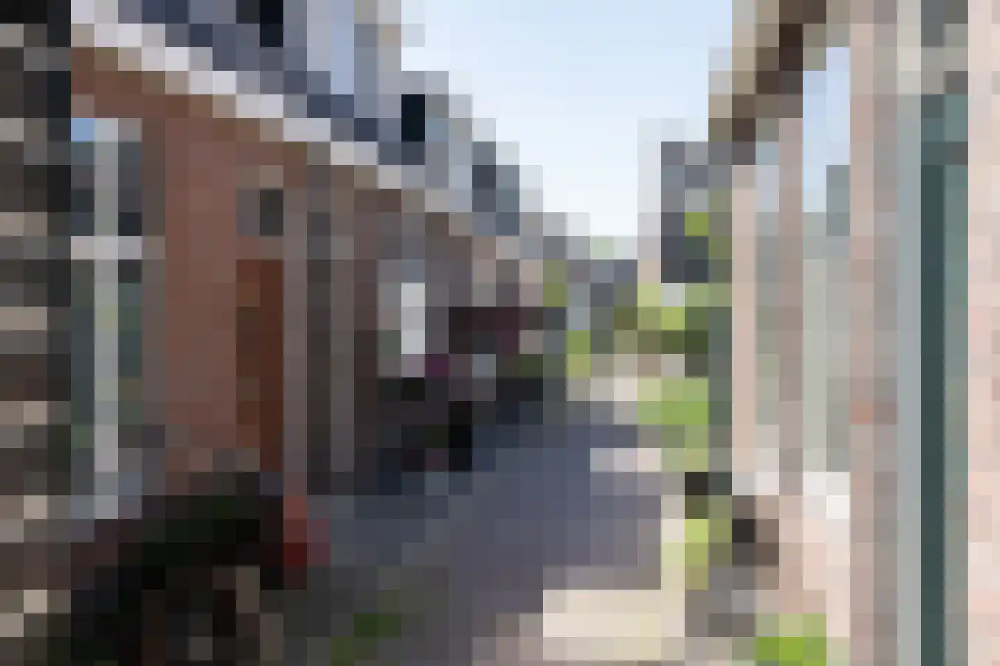 Heer Elbertsteeg 7 Weesp foto 3