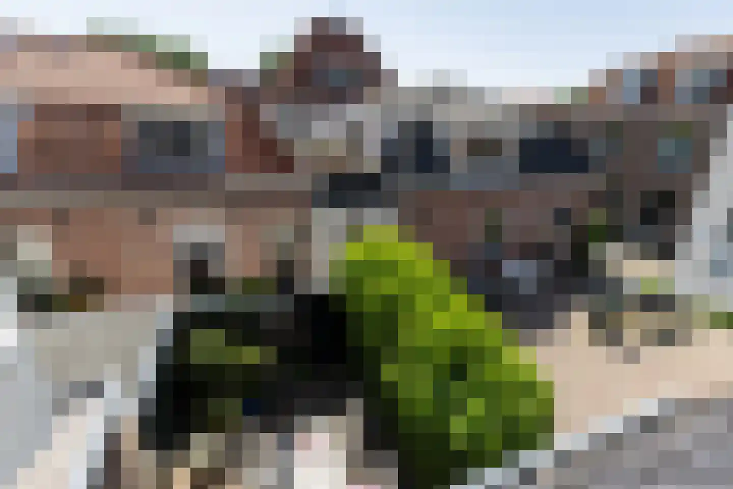 Heer Elbertsteeg 7 Weesp thumbnail 32