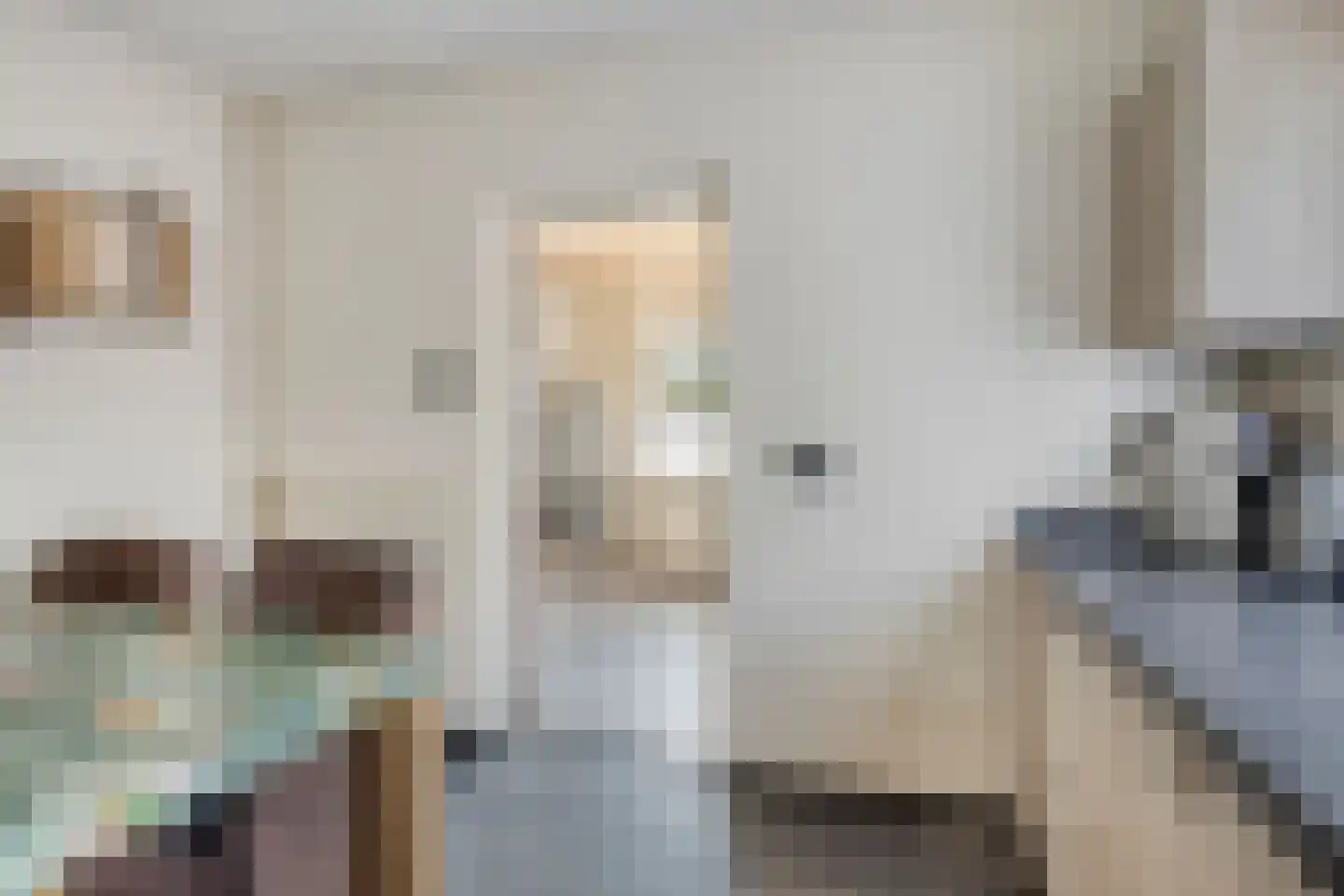 Heer en Beekstraat 17 Rosmalen thumbnail 13