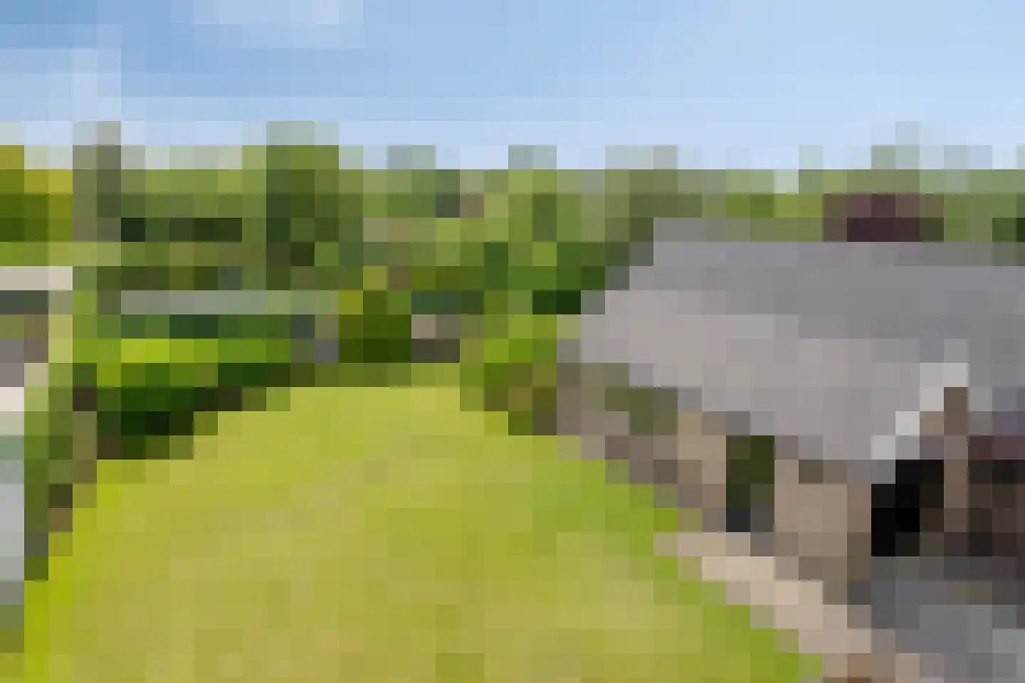 Heer en Beekstraat 17 Rosmalen thumbnail 33