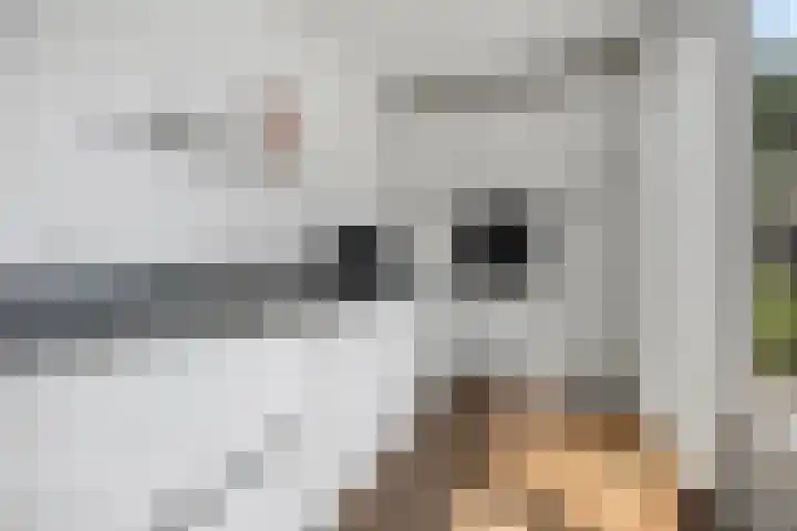 Heer en Beekstraat 22 Rosmalen thumbnail 12