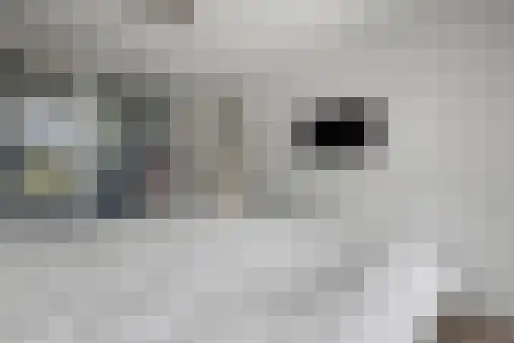 Heer en Beekstraat 22 Rosmalen thumbnail 16